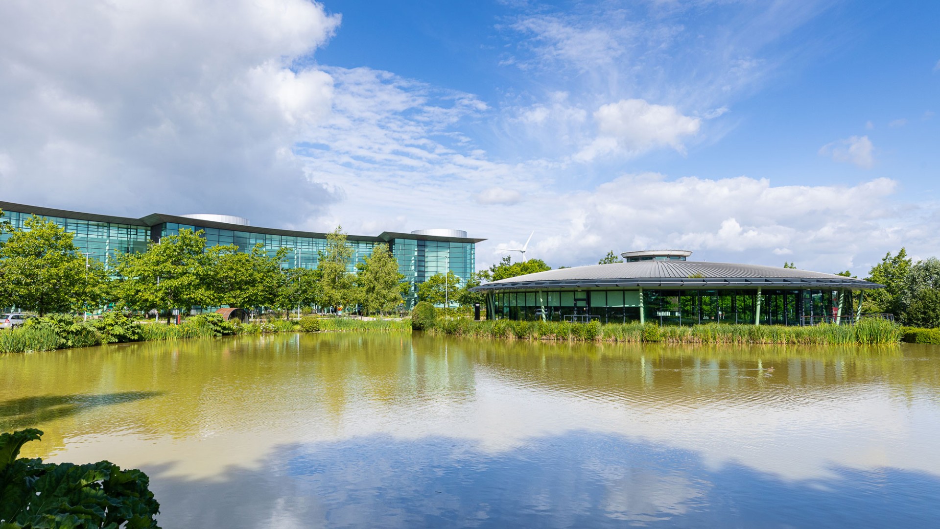 Campus, Reading International