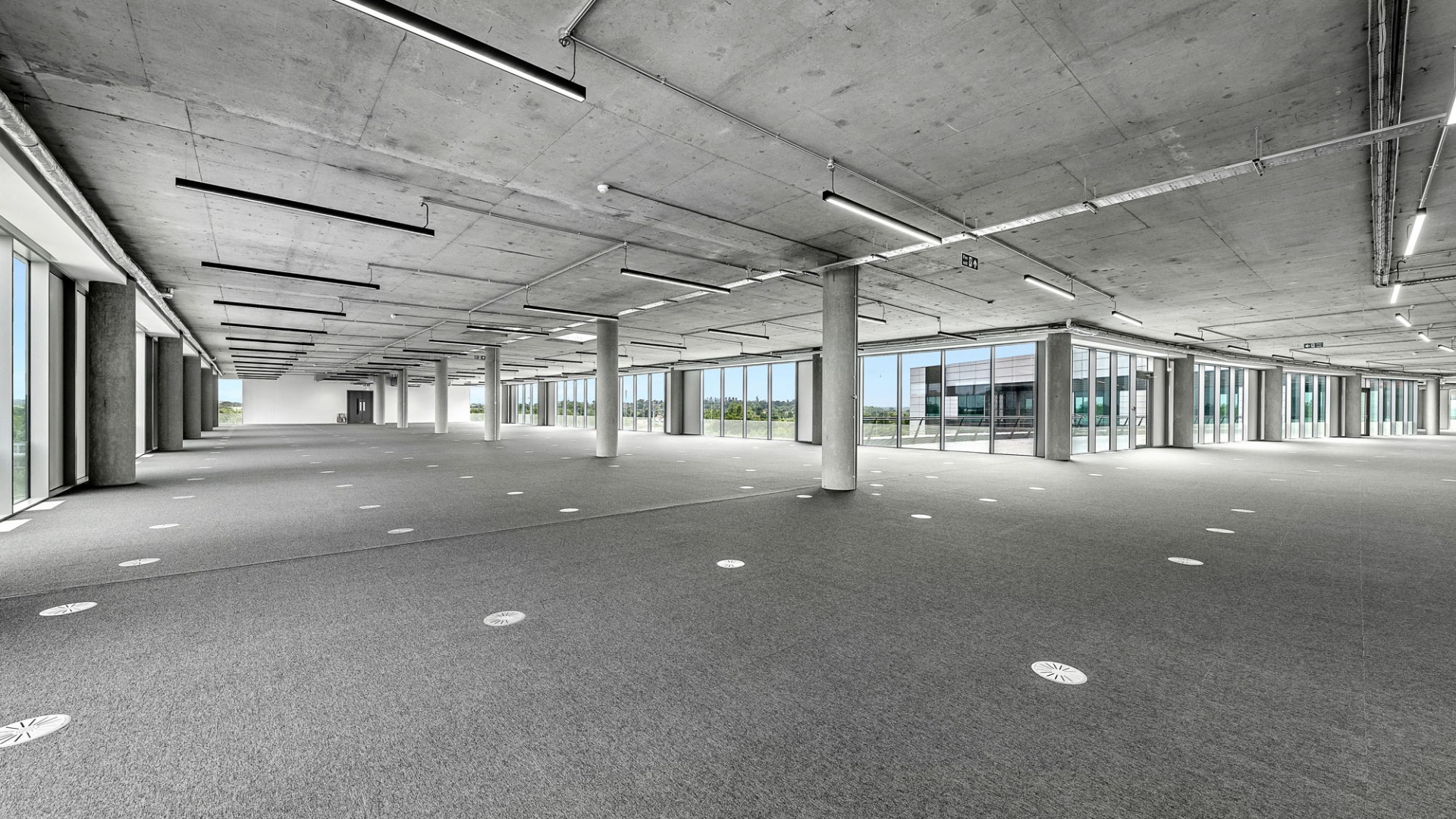 Campus, Reading International