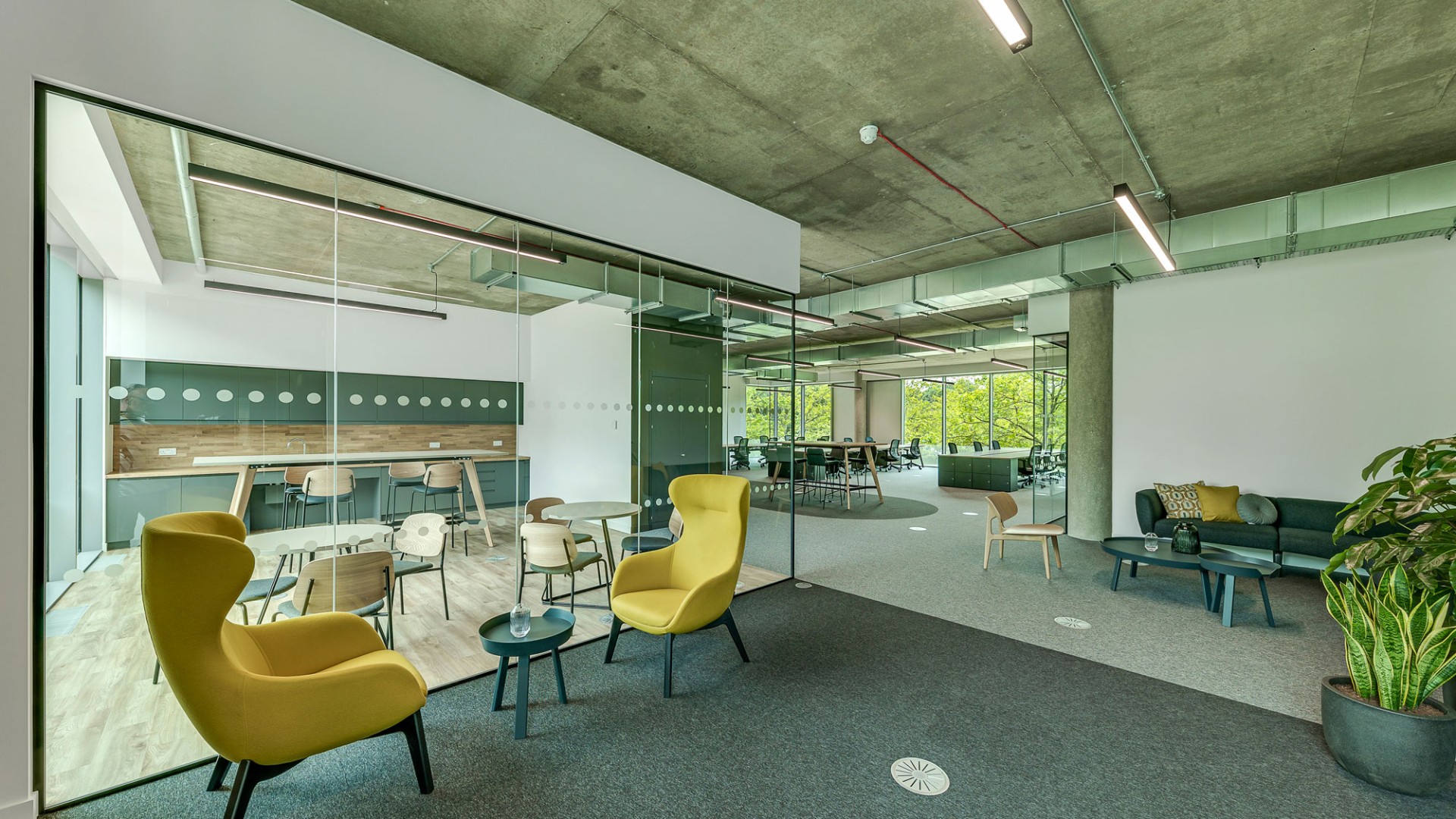 Campus, Reading International