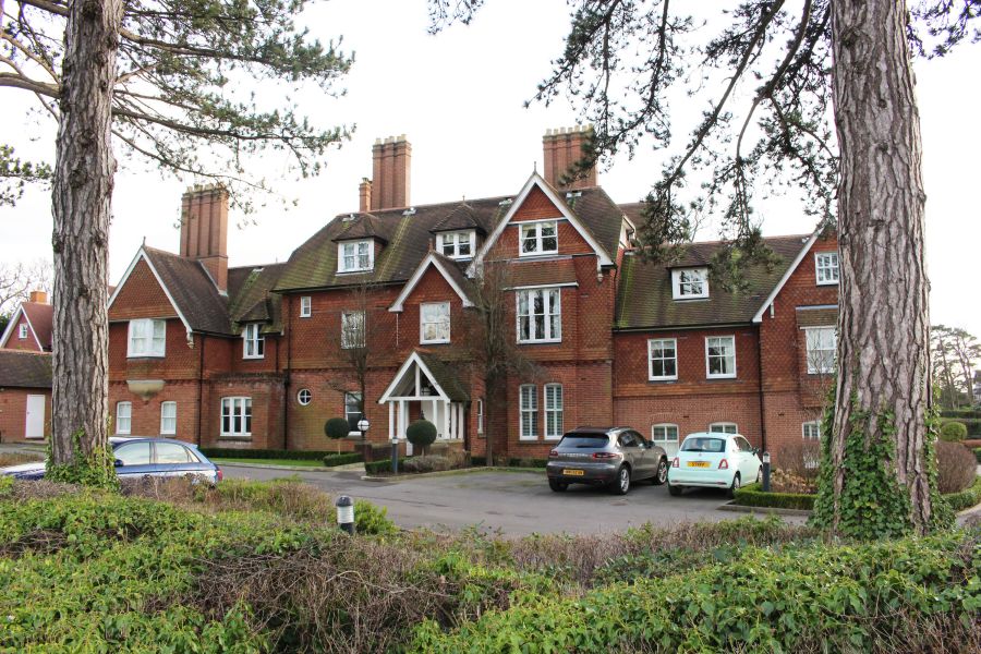 Wray Coppice, Reigate